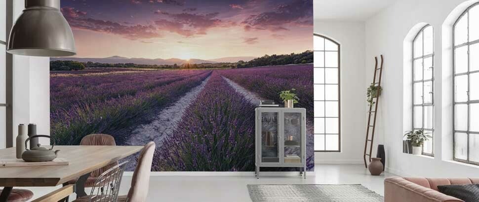 Fotobehang van Lavendel