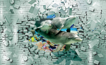 3D Behang Dolfijnen uit de Muur