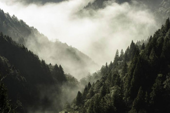 Fotobehang Bergen in de Mist