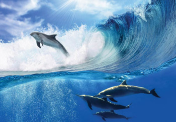 Fotobehang Springende Dolfijnen