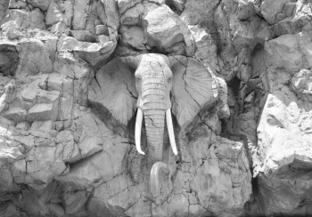Fotobehang Olifant in de Rotsen grijs
