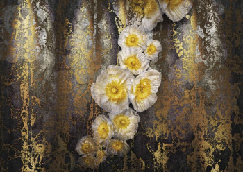 Fotobehang Gouden Klaprozen - 368 x 254 cm