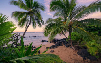 Fotobehang Hawaiian Dreams - 450 x 280 cm