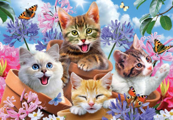 Fotobehang Kittens en Vlinders | Dolle Beestenboel