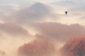 Fotobehang Luchtballon boven het Mistige Bos
