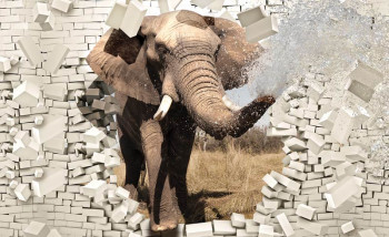 Fotobehang Olifant door de Muur 3D