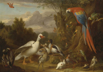 Fotobehang Schilderij van een Vogels
