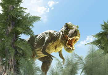 Fotobehang T-Rex Dinosaurus