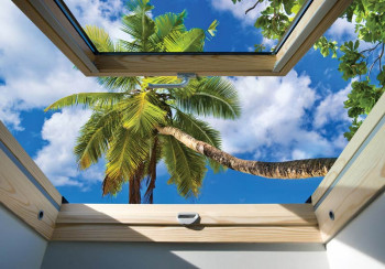 Fotobehang Uitzicht op de Palmboom vanuit het Raam 3D