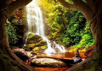Fotobehang Waterval in het Tropische Regenwoud 3D