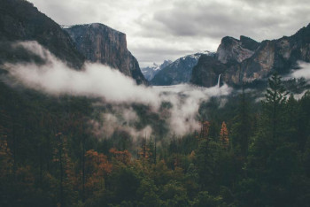 Fotobehang Yosemite National Park