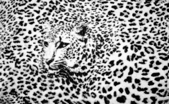 Fotobehang Panterprint zwart-wit