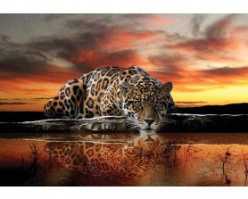 Fotobehang met luipaard, jachtluipaard en cheetah voor een avontuurlijk effect.