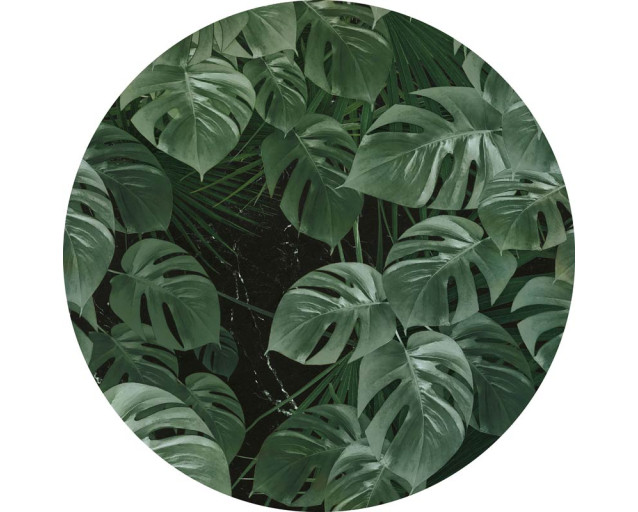 Tropische jungle planten op een muurcirkel met een fris en levendig groen thema.