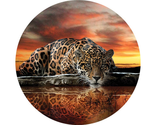 Luipaard, panter en cheetah afgebeeld op een stijlvolle behangcirkel voor dierenliefhebbers.