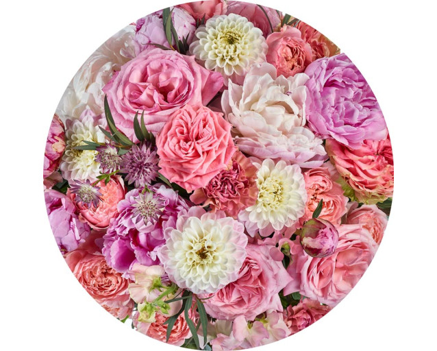 Romantische rozen in zachte tinten op een elegante muurcirkel.