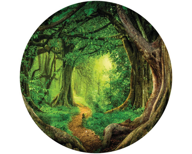 Tropisch regenwoud met weelderige jungle en bomen, schitterend weergegeven op een behangcirkel.