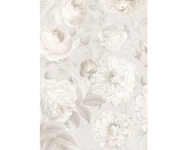 Centifolia muscosa mosroos bloemen, weergegeven in een abstract en gedetailleerd fotobehang voor een elegante uitstraling.