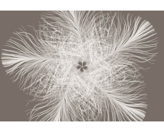 Federster abstract fotobehang, met een modern kunstwerk dat elke ruimte een creatieve uitstraling geeft.