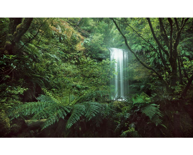 Een tropische waterval midden in de jungle, het fotobehang brengt de schoonheid van natuur en rust in elke ruimte.