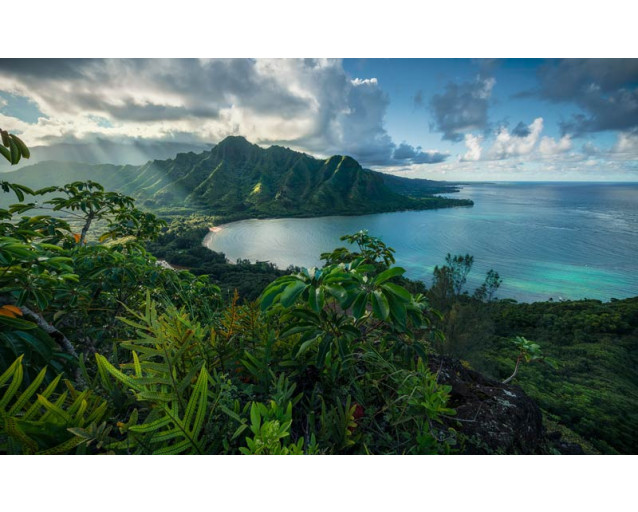Fotobehang van Jurassic Island met een indrukwekkend uitzicht op bergen en weelderige natuur, ideaal voor avontuurlijke kamers.