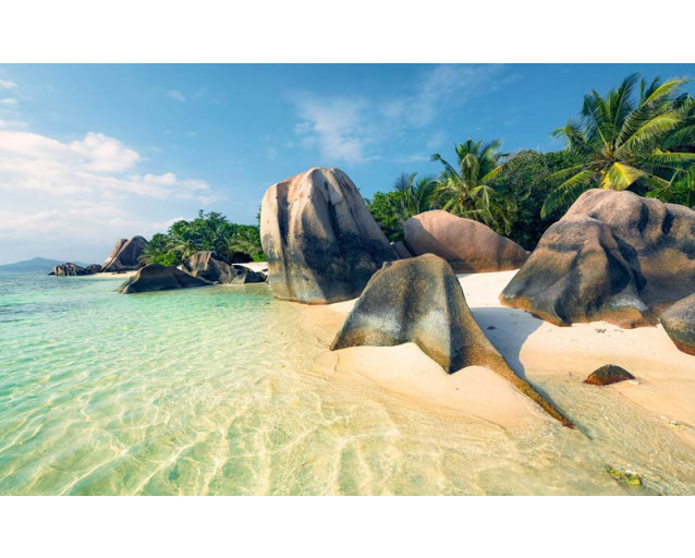 Oceaan parel palmbomen strand fotobehang, ideaal voor een tropische kamer.