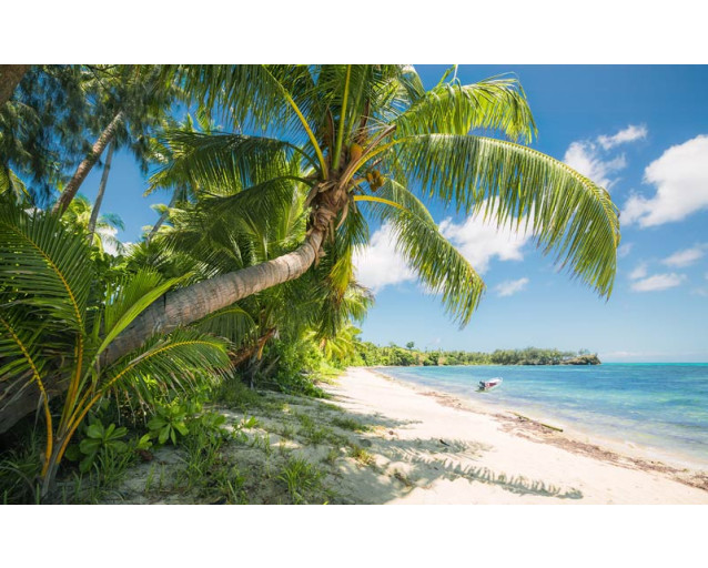 Palmbomen van Fiji met een prachtig uitzicht op de zon, zee en strand.