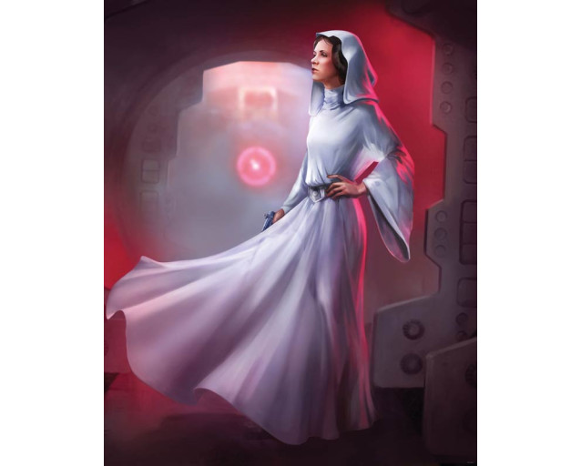 Star Wars fotobehang met prinses Leia, perfect voor fans van de originele trilogie.