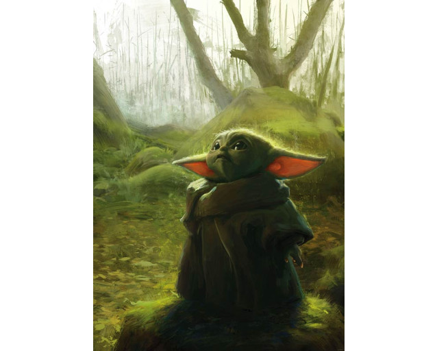Mandalorian en Grogu (Baby Yoda) op een artistiek acryl fotobehang, met levendige kleuren en een galactische achtergrond.
