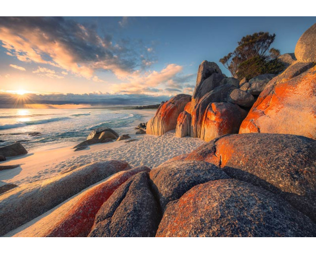Strandlandschap Bay of Fires fotobehang, met een prachtig kustlandschap.