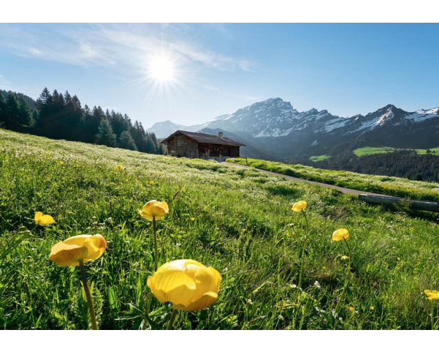 Fotobehang Alpen Geluk - 400 x 280 cm
