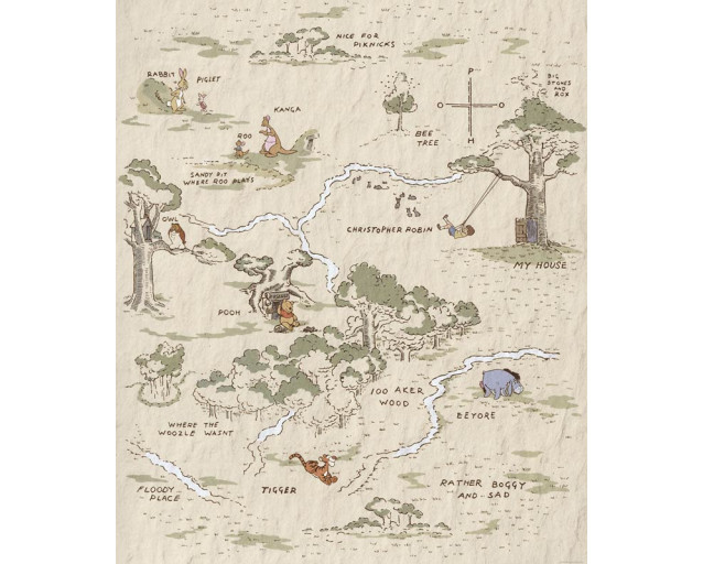 Disney Fotobehang Winnie the Pooh Map - 200 x 240 cm