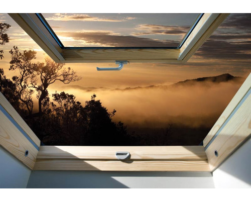 3D fotobehang met uitzicht op een mistig bos door een raam, met natuur in de hoofdrol.