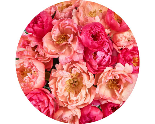 Bloemenzee met kleurrijke rozen op een muurcirkel.