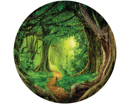 Tropisch regenwoud met weelderige jungle en bomen, schitterend weergegeven op een behangcirkel.