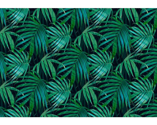 Groene tropische bladeren in een dichtbegroeide jungle, fotobehang dat natuur en frisheid uitstraalt.