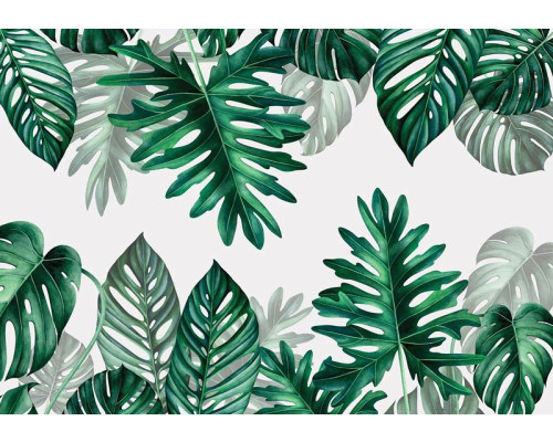 Botanisch bladeren fotobehang met tropische bladeren in een jungle setting, ideaal voor een natuurlijke sfeer.