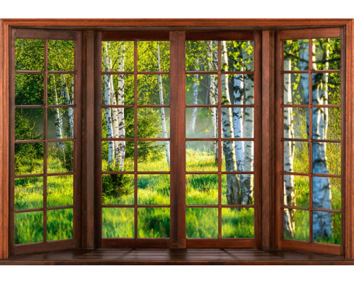 Fotobehang van een 3D-raamzicht op een berkenbos, met hoge bomen en een serene sfeer.