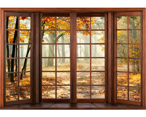 Fotobehang van een 3D raamzicht op een herfstbos, met warme herfstkleuren.