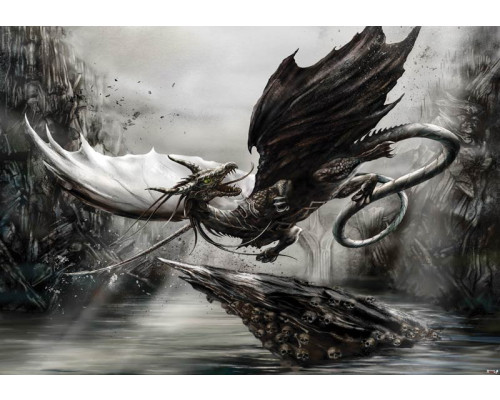 Draak en alchemie, fotobehang met magische en duistere thema's voor een mysterieuze sfeer.