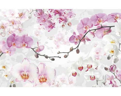 Roze bloemen met een elegante uitstraling, weergegeven in dit fotobehang, ideaal voor een verfijnde ruimte.
