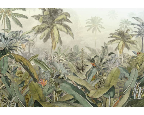 Amazone jungle fotobehang, met dichte vegetatie en tropische bomen, ideaal voor natuurliefhebbers.