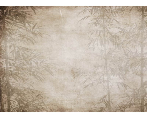 Fotobehang met artistieke bamboe-afbeelding, perfect voor een natuurlijke en stijlvolle uitstraling.