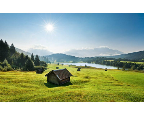 Bergweide Karwendel fotobehang, met een rustige ochtendzon over de weiden.