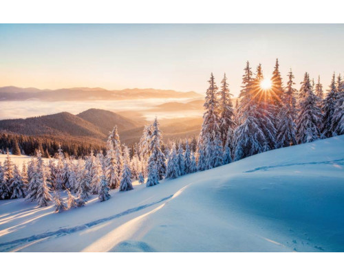 Een betoverend sneeuwlandschap met bergen, zonnestralen en een weelderig bos op dit fotobehang.
