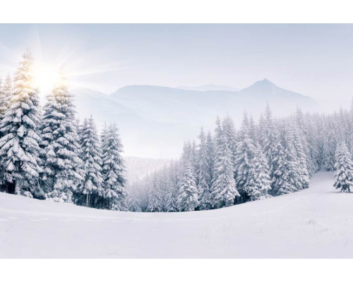 Fotobehang van een betoverend winterlandschap met besneeuwde bergen en bomen, en een helderblauwe lucht.
