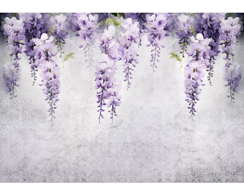 Blauweregen planten klimmen over een betonnen muur, afgebeeld op een kunstzinnig fotobehang.