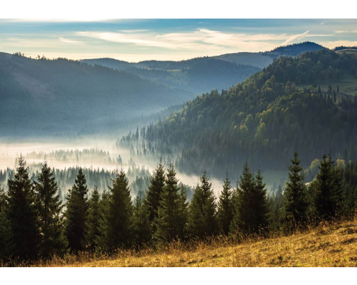 Bergen bedekt in mist en een serene natuur komen samen op dit fotobehang, met een kalme en mystieke sfeer.