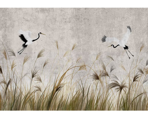 Fotobehang Dansende Kraanvogels boven het Hoge Gras