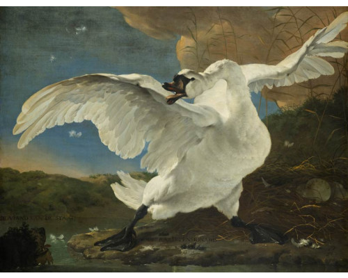Fotobehang van het schilderij De Bedreigde Zwaan van Jan Asselijn.